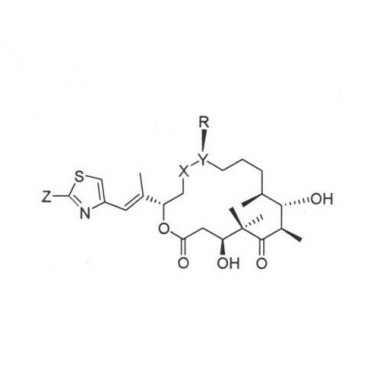 Epothilone B