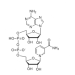 NAD Lithium salt