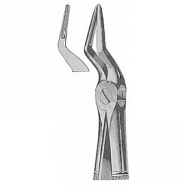 Extracting Forceps