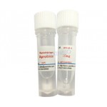 Recombinant trypsin inhibitor/Recombinant aprotinin