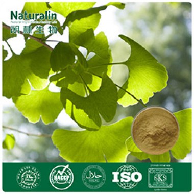 Ginkgo Biloba Extract