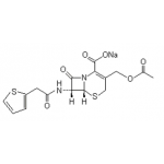 cephalothin sodium  USP/CP