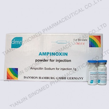 Ampicillin Sodium powder for Injection