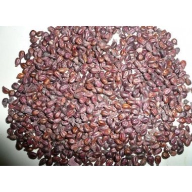 Grape seed extract