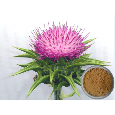 MilkThistle Extract