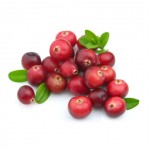 Cranberry Extract