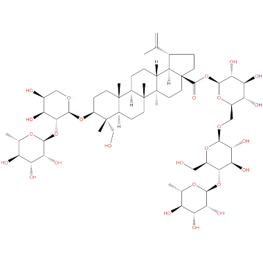 Anemoside B4