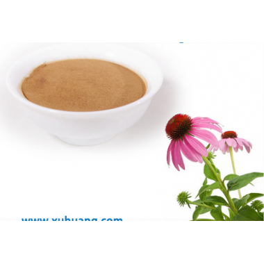 Echinacea purpurea extract