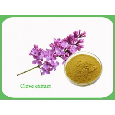 Clove Extract