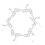 α-cyclodextrin