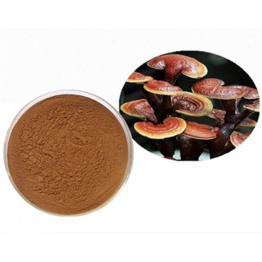 Natural Reishi Mushroom Extract Powder Lucid Ganoderma Extract Plant Extract