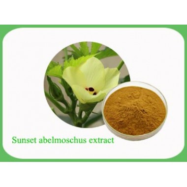 Sunset Abelmoschus Extract