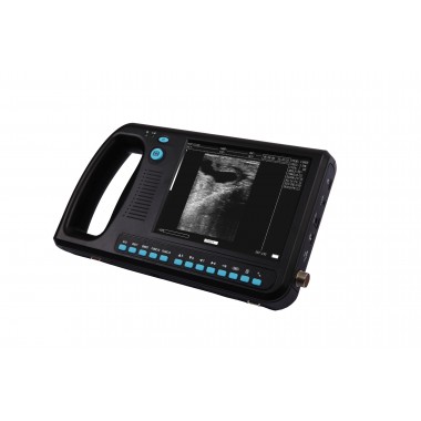 WED-3000V Veterinary Ultrasound Scanner