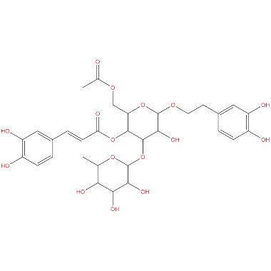 6-Acetylacteoside