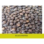 Black pepper