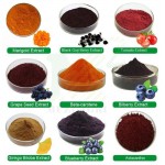 High Quality Plant Extract with best price