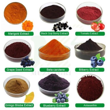 High Quality Plant Extract with best price