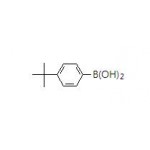 4-tert-Butylphenylboronic acid