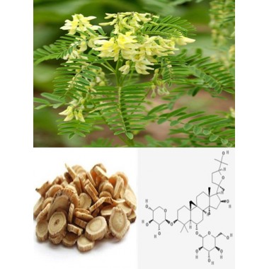 Astragaloside IV, Astragalus membranaceus Extract