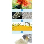 SAFFLOWER SEED OIL POWDER