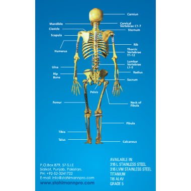 Orthopedic Instruments & Implants