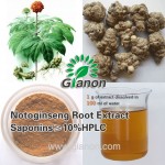 Panax Notoginseng Root Extract