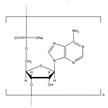 Polyadenosinic acid sodium salt