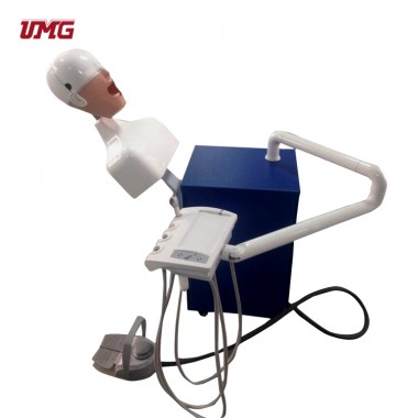 china dental simulation unit dental simulation phantom