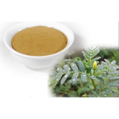 Tribulus Terrestris Extract