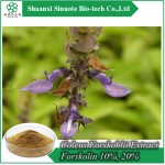 100% Pure Coleus Forskohlii Extract Forskolin 10%, 20% HPLC