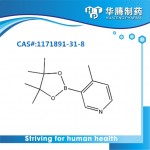 4-methyl-3-(4,4,5,5-tetramethyl-1,3,2-dioxaborolan-2-yl)pyridine 1171891-31-8