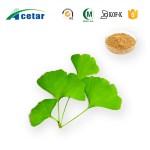 Ginkgo Biloba Extract