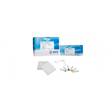 CapitalBio Genotype and Drug Resistance Detection Kit for Hepatitis B Virus