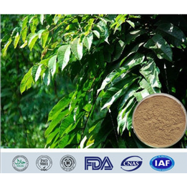 Olive Leaf Extract