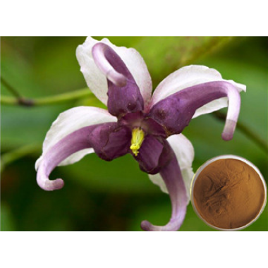 Epimedium Brm (Horny Goat Weed) Extract