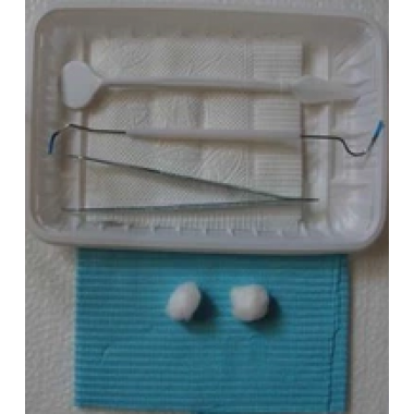 Disposable Dental Oral Inspection Kit