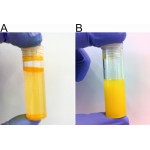 curcumin water soluble