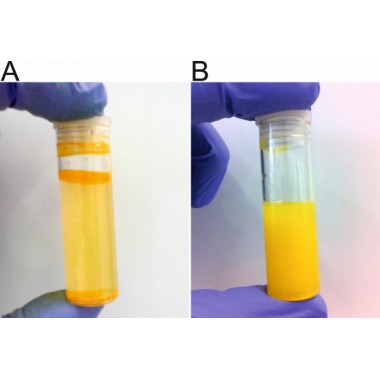 curcumin water soluble