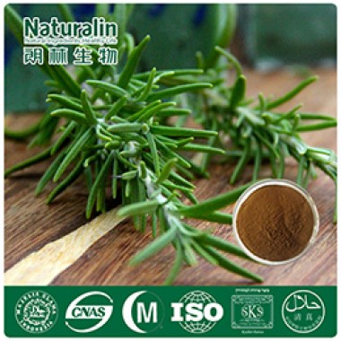 Rosemary Extract