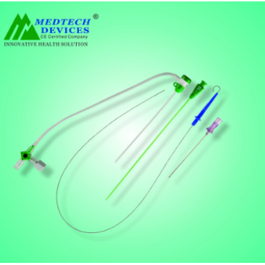 Introducer Sheath