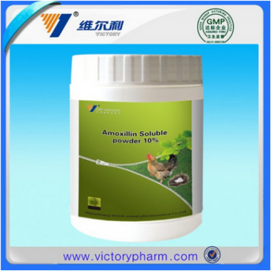 Amoxicillin soluble powder