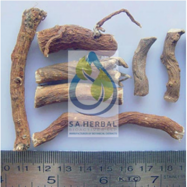 Boerhaavia diffusa