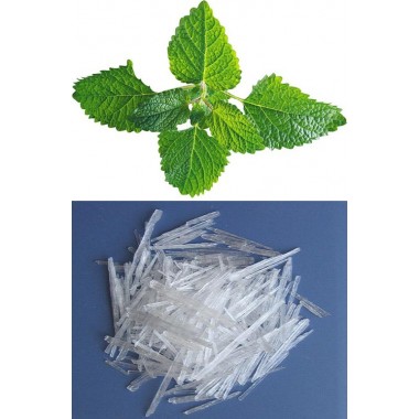 Natural Menthol