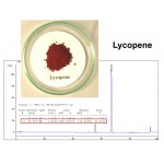 Lemnaceae Fermentation Inc.