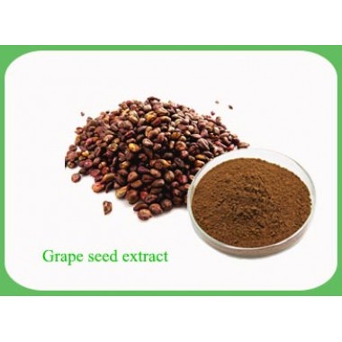 Grape Seed Extract