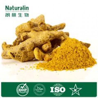 Turmeric Extract