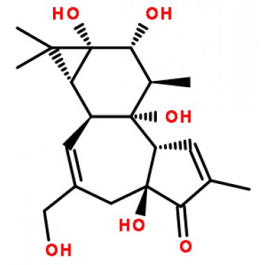 Phorbol,17673-25-5