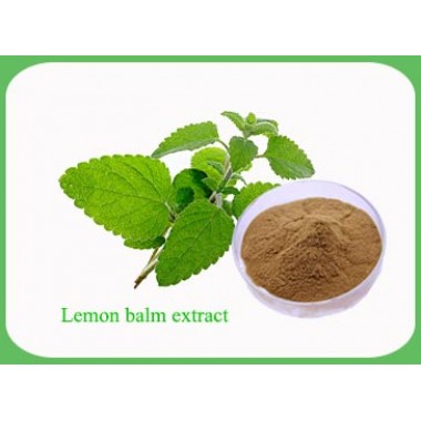 Lemon Balm Extract