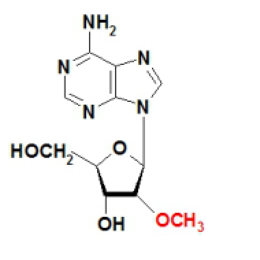 2-OMe Adenosine