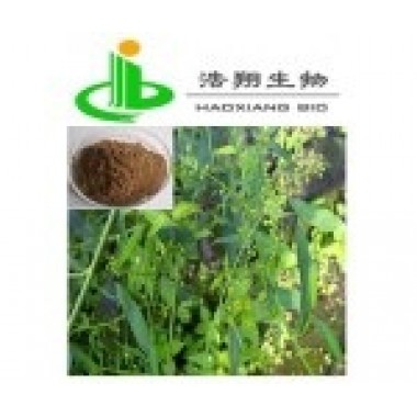 Bupleurum Extract